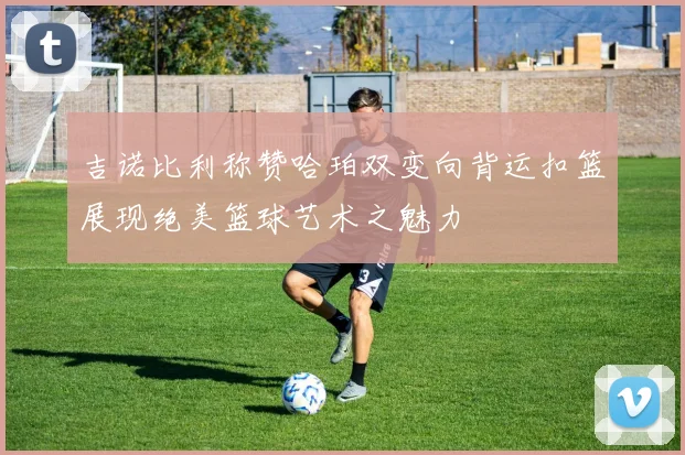 吉诺比利称赞哈珀双变向背运扣篮展现绝美篮球艺术之魅力