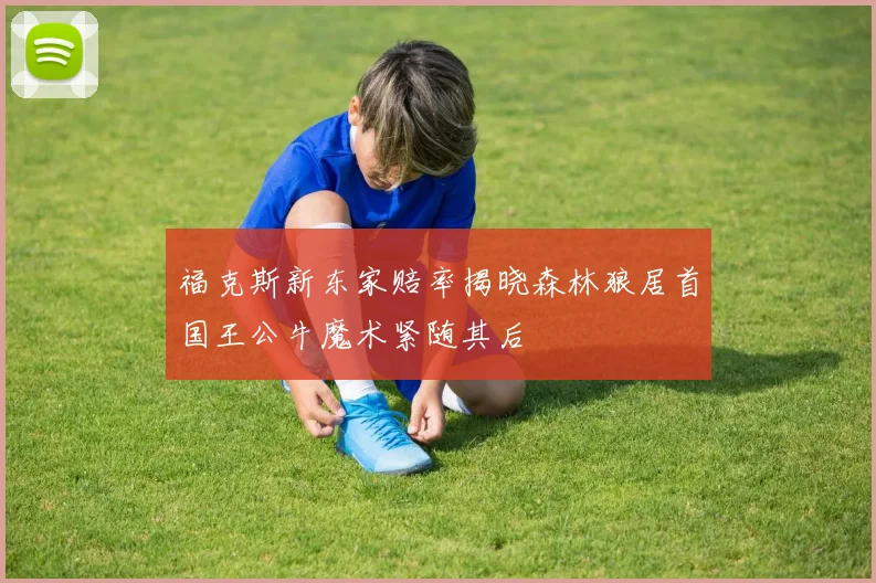 福克斯新东家赔率揭晓森林狼居首国王公牛魔术紧随其后